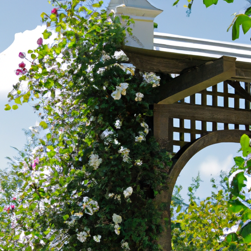 פרגולה מעוטרת להפליא עם ורדים מטפסים באווירת גן מסורתית.